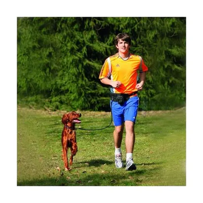 Obrázek produktu pro Karlie Doggy-Joggy Joggingleine