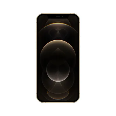 Immagine prodotto di Apple iPhone 12 Pro Max smartphone