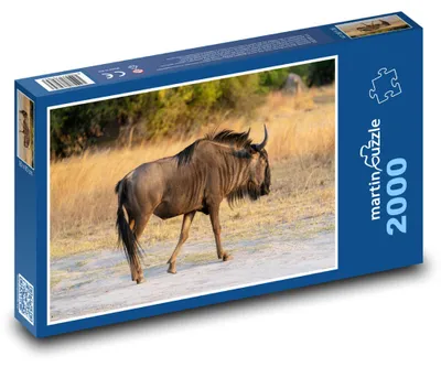Obrázek produktu pro martinpuzzle - Puzzle 2000 - Pakůň