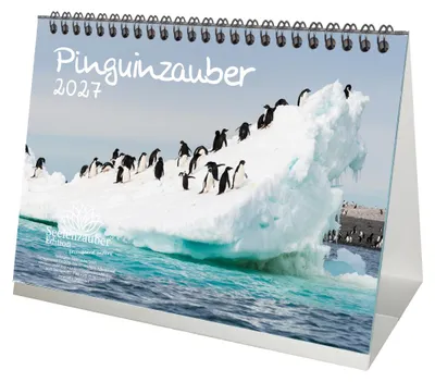 Produktbild von Pinguinzauber DIN A5 Tischkalender für 2027 Pinguin - Seelenzauber