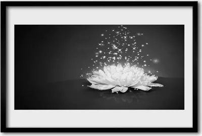Produktbild von Bild 60x40 MDF-Rahmen Wandkunst Natur Blume Pflanze