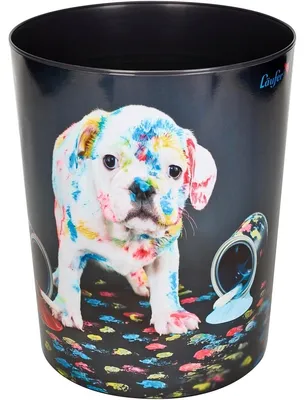 Obrázek produktu pro Laufer 26663, 13 l, Vícebarevný, 1 kusů