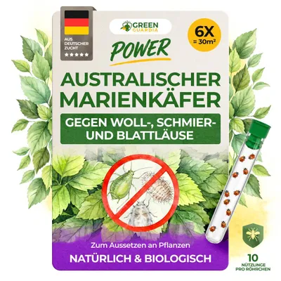 Produktbild von Australischer Marienkäfer gegen Schmierläuse und Wollläuse - 6 x 10 Nützlinge - Schmierläuse bekämpfen, Wollläuse bekämpfen, Mittel gegen Wollläuse