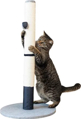Imagen del producto de Árbol para gatos Kerbl