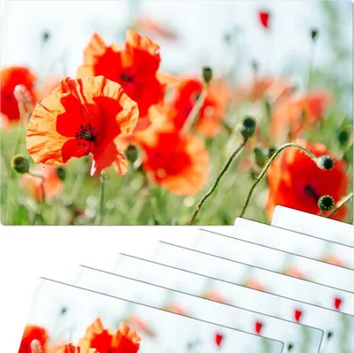 Produktbild von Abwaschbare Tischsets 8er Set Sommer Mohn-Blumen