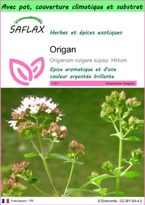 Image de SAFLAX Garden to go - Origan - 600 graines - Origanum