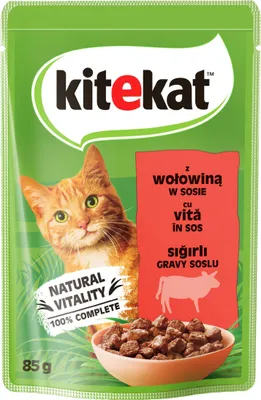 A pouch of cat food with an image of a cat and the product inside.