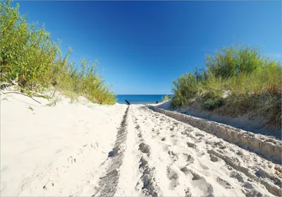 Produktbild von Wallario selbstklebendes Poster - Auf dem Sandweg zum Strand - Blauer Himmel über dem Meer, Größe: 70 x 100 cm