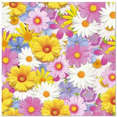 Produktbild von 200 Servietten, 3-lagig 1/4-Falz 33 cm x 33 cm Daisies Mix