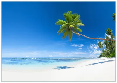Produktbild von Wallario Premium Glasbild, freischwebende Optik, kräftige Farben, Größe 100 x 70 cm Motiv Weißer Sandstrand am Meer - Ein Traum unter Palmen