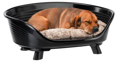 Imagen del producto de Cama para perros Ferplast