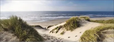 Produktbild von Leinwandbild Sea View 77x27 cm