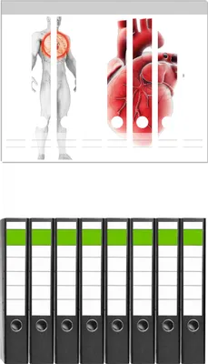 Produktbild von Wallario 8 Stück schmale Ordner inkl. Klebeetiketten mit Motive Anatomie des Menschen  Herz in Nahansicht -  Set mit Rückenschildern / Ordnerrücken Stickern