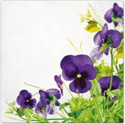 Produktbild von RP 20 Servietten Pansies Frame - Stiefmütterchen in der Blumenwiese 33x33cm