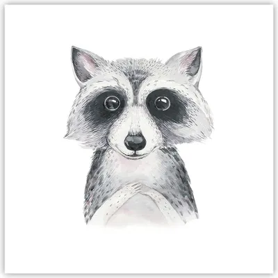 Produktbild von Poster - Poster ohne Rahmen - Waschbär Bild Kinder - 40x40 cm - Wand Bild - Wanddeko - Wandbilder - Kunstposter - Wandposter - Bilder - Kunstdruck - Wanddekoration - Wandbild - P2XAC40x40-4607