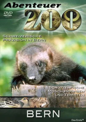 Produktbild von Abenteuer Zoo