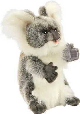 Produktbild von Hansa Creation - Kuscheltier - Handpuppe Koala Marionnette