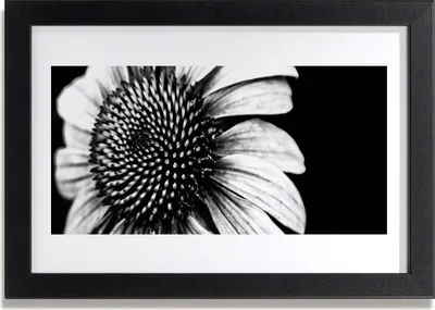 Produktbild von Bild 30x20 MDF-Rahmen Wandkunst Natur Blume Pflanze