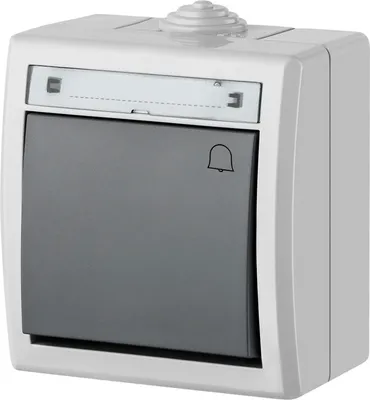 Zdjęcie produktu dla Elektroplast Bell Switch Aquant Grey Ip55 1205-10
