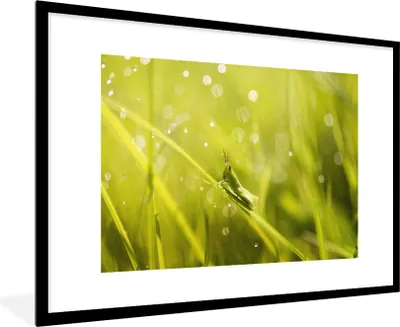 Produktbild von MuchoWow® MuchoWow® Gerahmtes Poster Grashüpfer - Gras - Grün 90x60 cm - Poster mit zchwarzem Bilderrahmen - Wanddekoration - Fotos