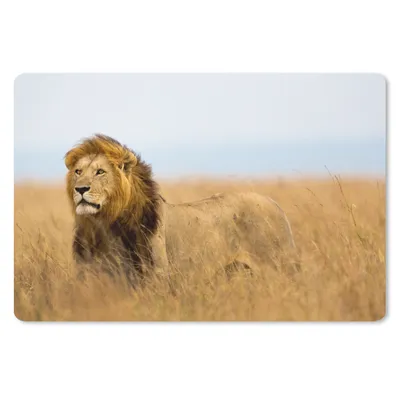 Produktbild von MuchoWow® Schreibtischunterlage Löwen - Gras - Afrika 60x40 cm - XXL Mauspad - Großes Mauspad