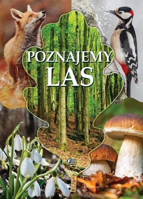 Imagen del producto de Descubrimos el bosque. Libro infantil de tapa dura