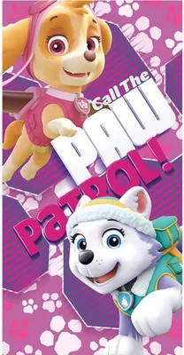 Produktbild von Paw Patrol Skye Strandtuch Badetuch Handtuch 70x140cm