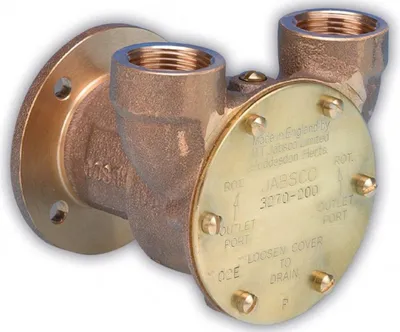 Immagine prodotto di Jabsco 3270-0001 Pompa acqua di raffreddamento 3/4" NPT