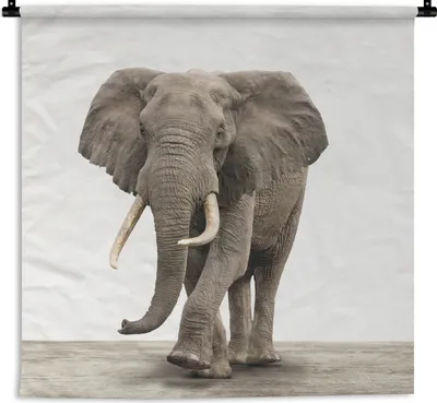 Produktbild von MuchoWow® Wandteppich Wandbehang Elefant - Kinder - Tiere - Mädchen 60x60 cm Tapisserie Dekoration Wandtuch - Dekorationen - Wand Decke