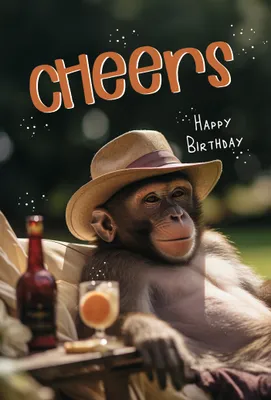 Produktbild von Geburtstag Cheers Happy Birthday Affe Glückwunschkarte mit Umschlag