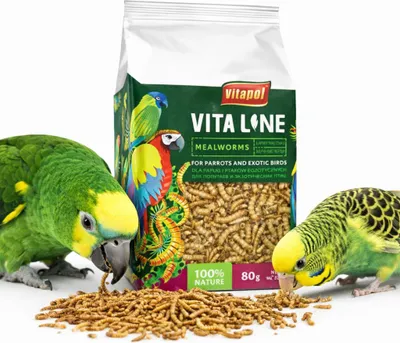 Zdjęcie produktu dla Vitapol VITALINE - Larwy mącznika dla wszystkich papug 80g
