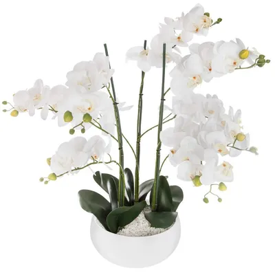 Obrázek produktu pro Umělá rostlina ORCHIDE, bílý květináč, 65 cm