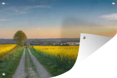 Produktbild von MuchoWow®