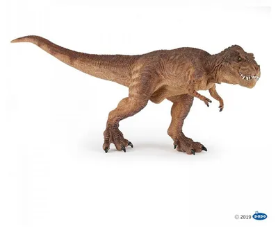 Produktbild von Papo Laufender T- Rex Braun, 3 Jahr(e), Dinosaurier, Braun, PVC