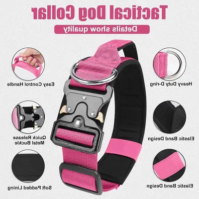 Robuste Hundehalsband mit Griff und weicher Polsterung, verstellbare bequeme Halsband für das Training von kleinen