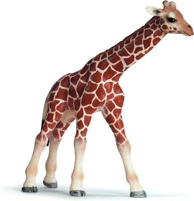 Obrázek produktu pro Schleich 14321 - Žirafí mládě