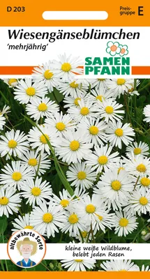 Artikelbild 1 von 'Wiesengänseblümchen' aus der Kategorie Gänseblümchensamen