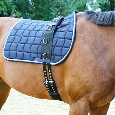 A close-up of a horse's side with a blue quilted saddle pad and girth attached.