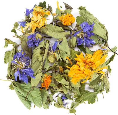 Produktbild von Familientee, BIO Kräutertee, 40g
