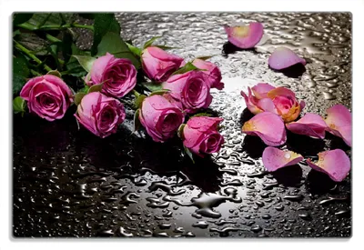 Produktbild von Wallario Frühstücksbrettchen aus Glas 20 x 30 cm mit rutschfesten Füßen, Motiv Pinke Rosen mit Wassertropfen