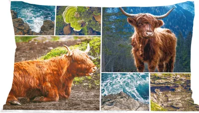Produktbild von MuchoWow® Zierkissen Sofakissen Wohnzimmer Dekokissen 50x30 cm Schottisches Hochlandrind - Berg - Meer - Wohnzimmerdekoration - Polster mit Photo