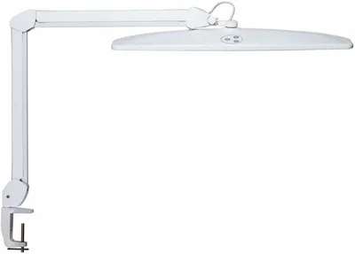Image de MAUL Lampe de table MAULexplore LED 6.500 K dimmable Pied à pince blanc
