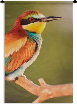 Produktbild von MuchoWow® Wandteppich Wandbehang Vögel - Bienenfresser - Regenbogen - Tiere 90x135 cm Tapisserie Dekoration Wandtuch - Baumwolle - Wandskulptur