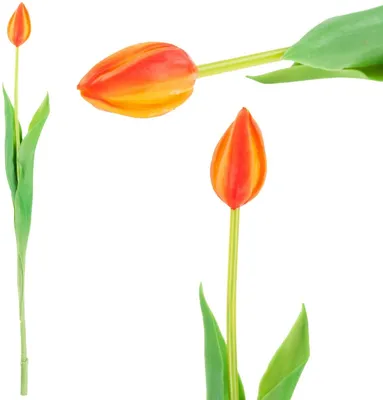 Obrázok produktu pre Cv07588-8 Pogumovaný Tulipán Jednoduchý Oranžový Ako Živý Kvet
