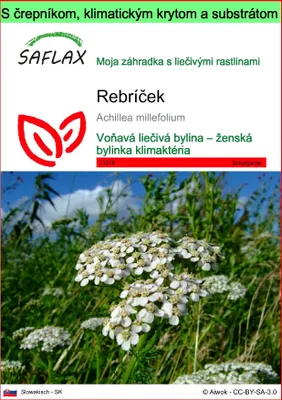 Obrázok produktu pre SAFLAX Garden to go - rebríček - Achillea millefolium - 200 Semená - S črepníkom, klimatickým vekom a pestovateľským substrátom