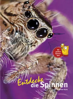 Produktbild von Entdecke die Spinnen