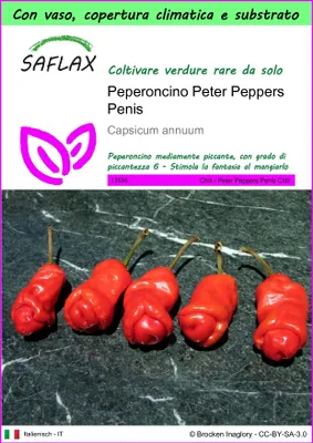 Immagine prodotto di SAFLAX Garden to go - Peperoncino Peter Peppers Penis - 10 semi - Capsicum