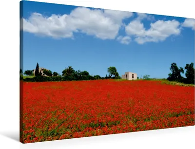 Produktbild von Calvendo  Textil-Leinwand 90 cm x 60 cm quer Ein Motiv aus dem Kalender Landschaften Mallorcas, Dürr Brigitte; 7326720