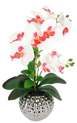 Kunstorchidee 40 cm mit Topf, rosa/weiß, Phalaenopsis