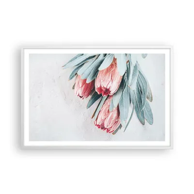 Produktbild von Gerahmtes Poster - Weißer Rahmen - Blume Eukalyptus Australier - 91,5x61 cm - Wand Bild - Wanddeko - Wandbilder - Kunstposter - Wandposter - Bilderrahmen - Bilder - Kunstdruck - P2WAA91x61-5016